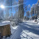 Апартаменты 17 Am Berg *