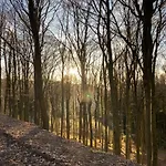 17 Am Berg Winterberg