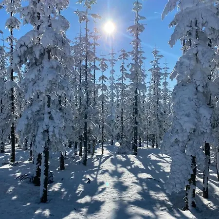 Апартаменты 17 Am Berg *
