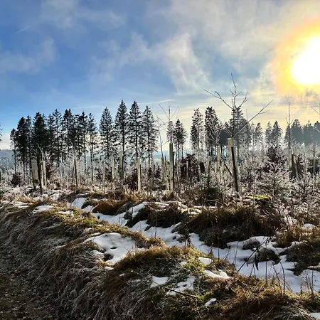 Апартаменты 17 Am Berg *
