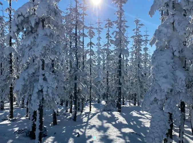 Апартаменты 17 Am Berg *