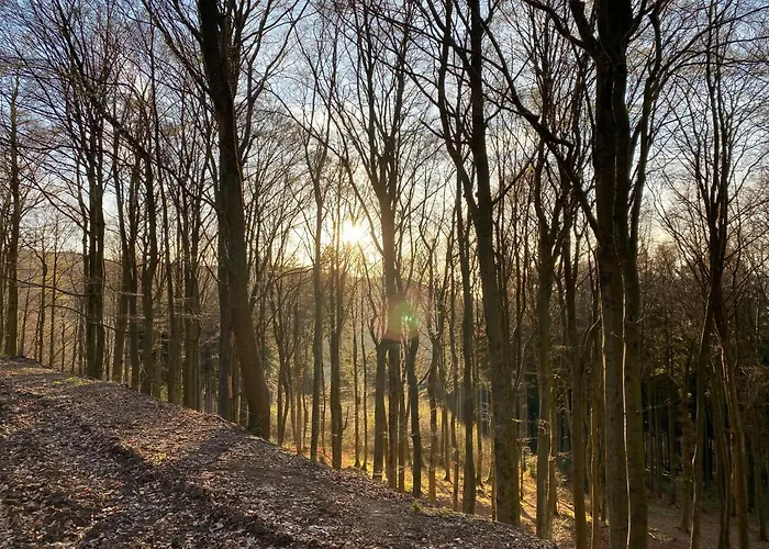 17 Am Berg Винтерберг