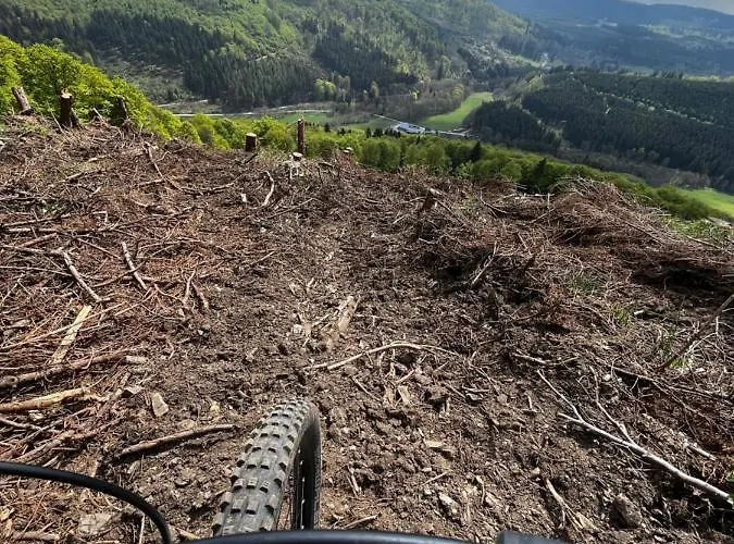 17 Am Berg Apartament *