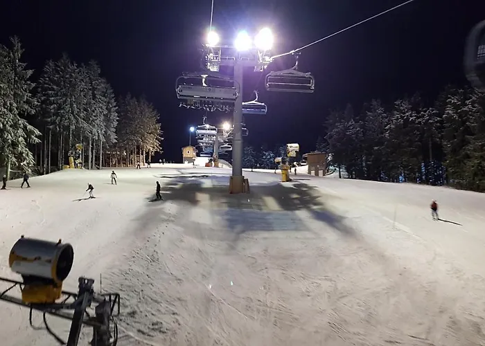 17 Am Berg Appartement Winterberg