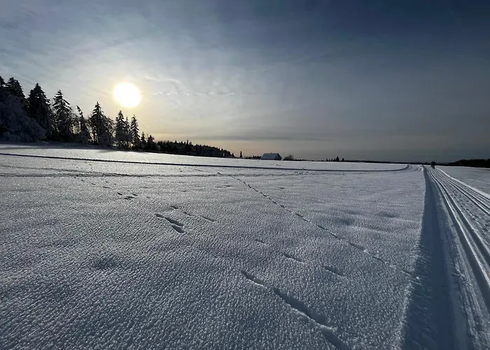 Апартаменты 17 Am Berg