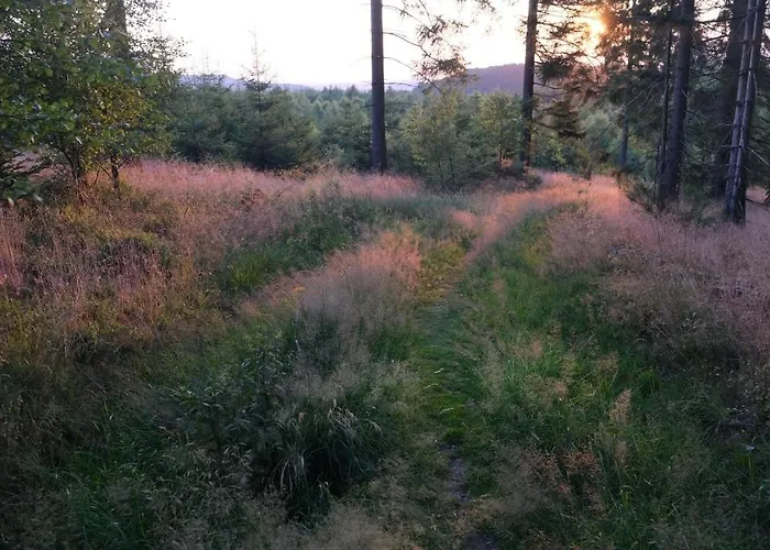 17 Am Berg Lägenhet Winterberg