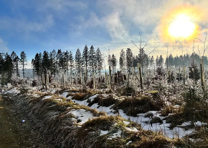 Апартаменты 17 Am Berg *